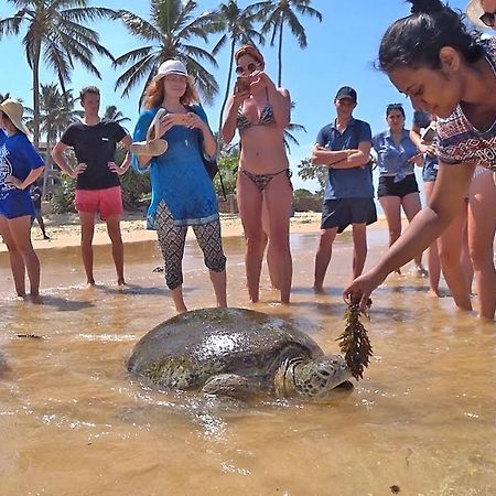 Turtle Bay Hotel Hikkaduwa Bagian luar foto