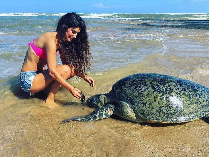 Turtle Bay Hotel Hikkaduwa Bagian luar foto
